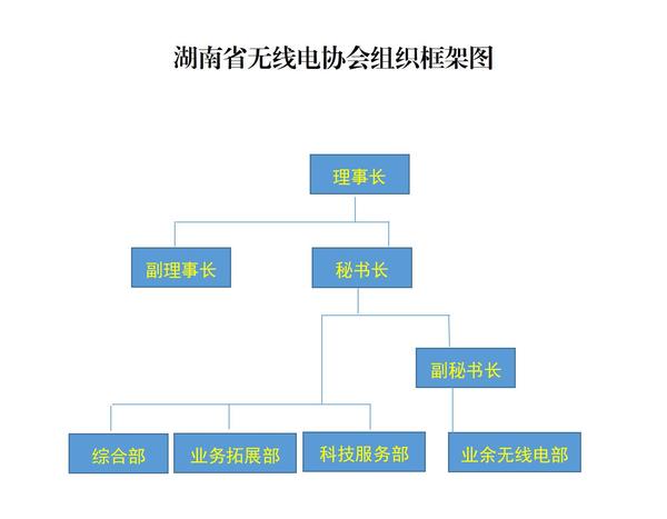 协会组织架构图.jpg